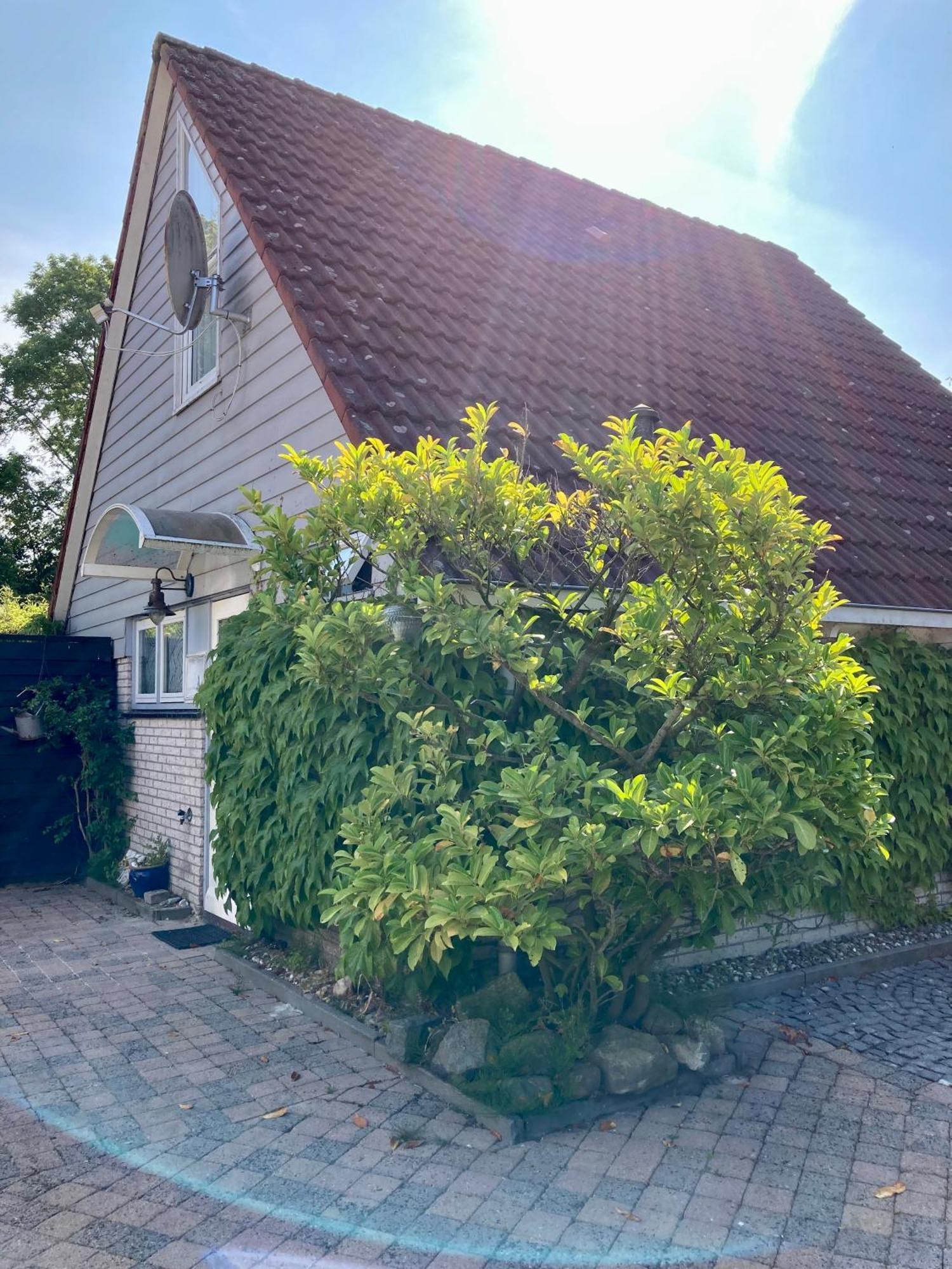 Gudrun 5 Pers Equipped House With Sauna. Dogs Are Welcome! Anjum Ngoại thất bức ảnh